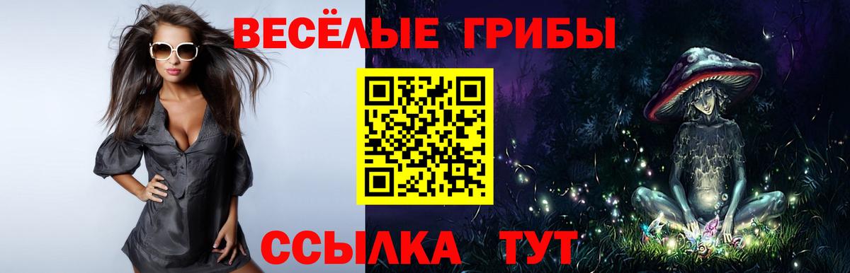 Галлюциногенные грибы GOLDEN TEACHER Юрга